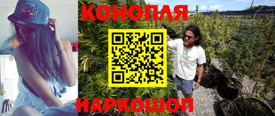 крисы Каменск-Шахтинский