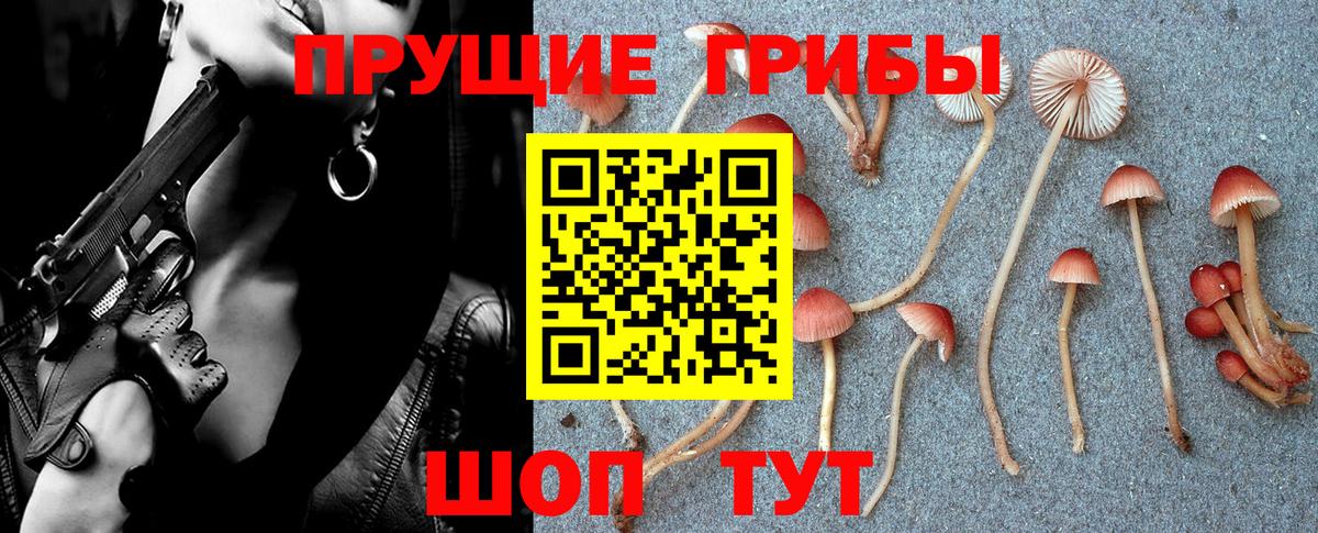 Батайск  Псилоцибиновые грибы Psilocybe  Галлюциногенные грибы GOLDEN TEACHER  Вход с VPN 